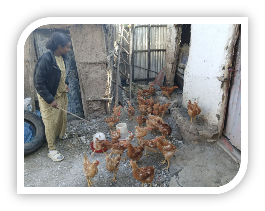 Mulumebet's poultry business